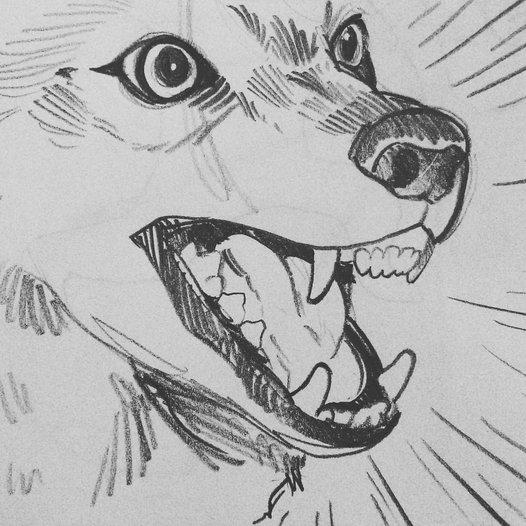 Волк арт рисунок карандашом