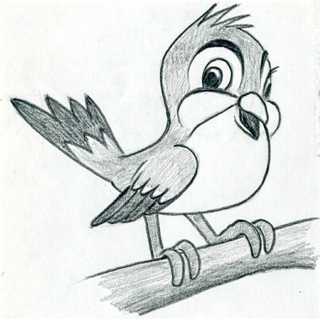 Рисунок птиц карандашом легкие. Птицы карандашом для срисовки. Рисунки птиц для срисовки. Птичка рисунок карандашом. Детские рисунки для срисовки.