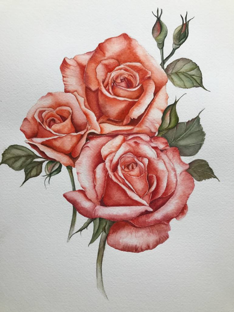 Рисование розы. Нарисовать розу. Цветы цветными карандашами для срисовки.