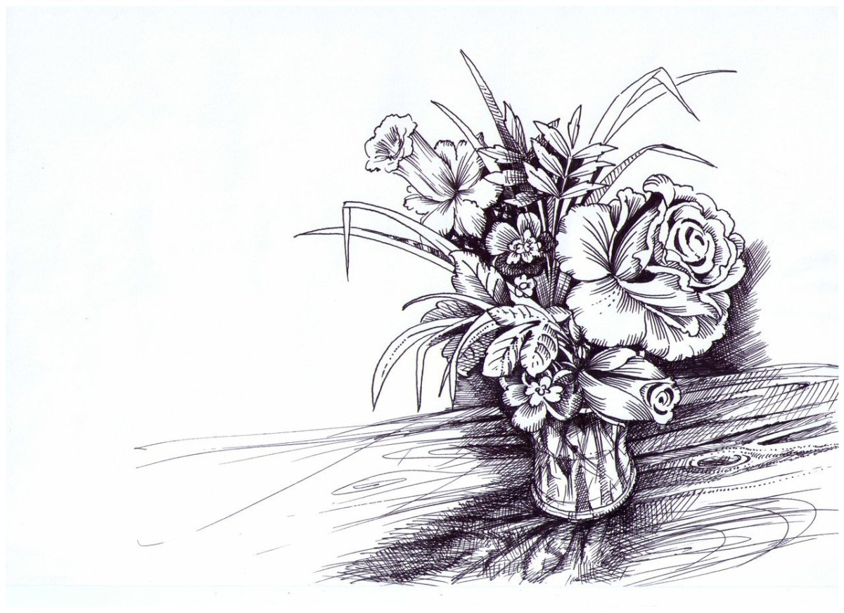 букет цветов красивый картинки карандашом