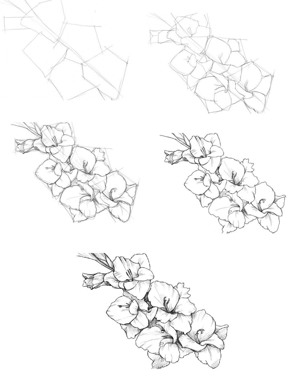 Как рисовать гладиолус