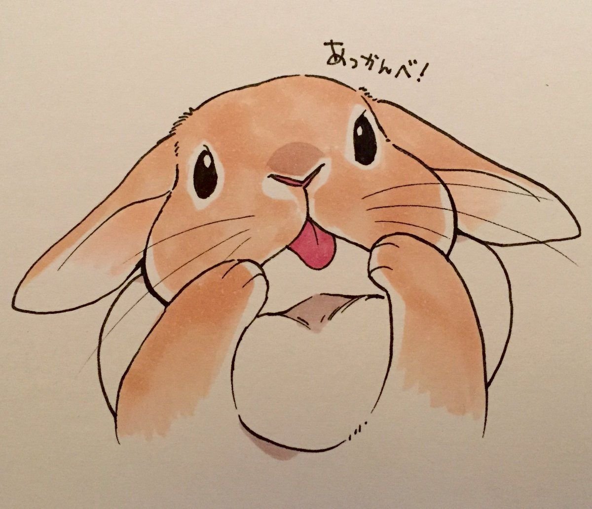 Картинки кролика для срисовки легкие