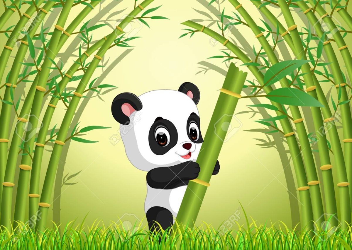 Панда в бамбуковом лесу рисунки