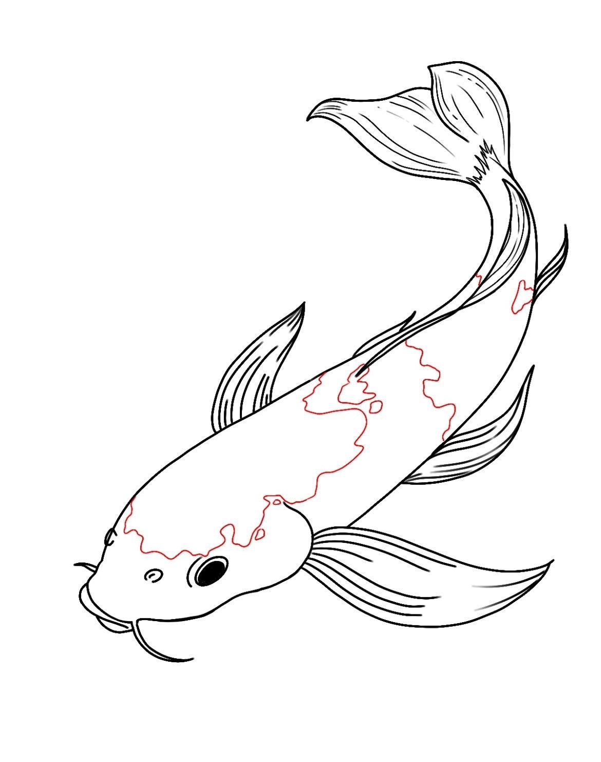 Зарисовки рыб