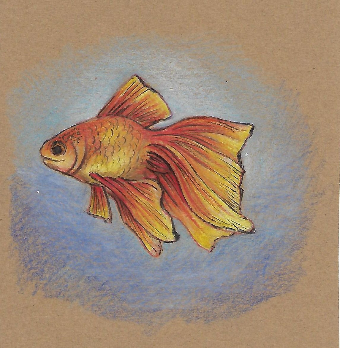 Рыбка цветными карандашами