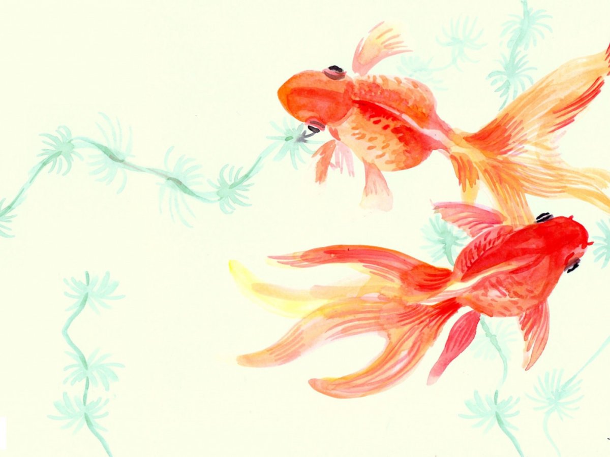 Золотые рыбки китайская живопись