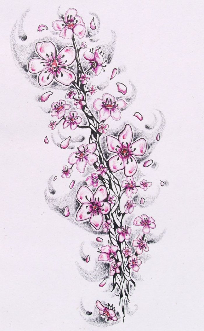 Рисунок сакуры красивый
