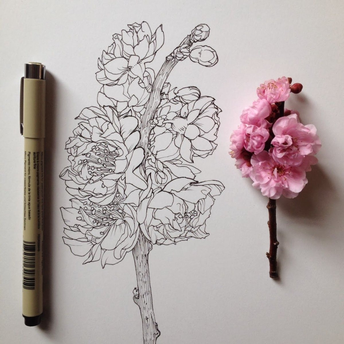Скетч цветок ручкой