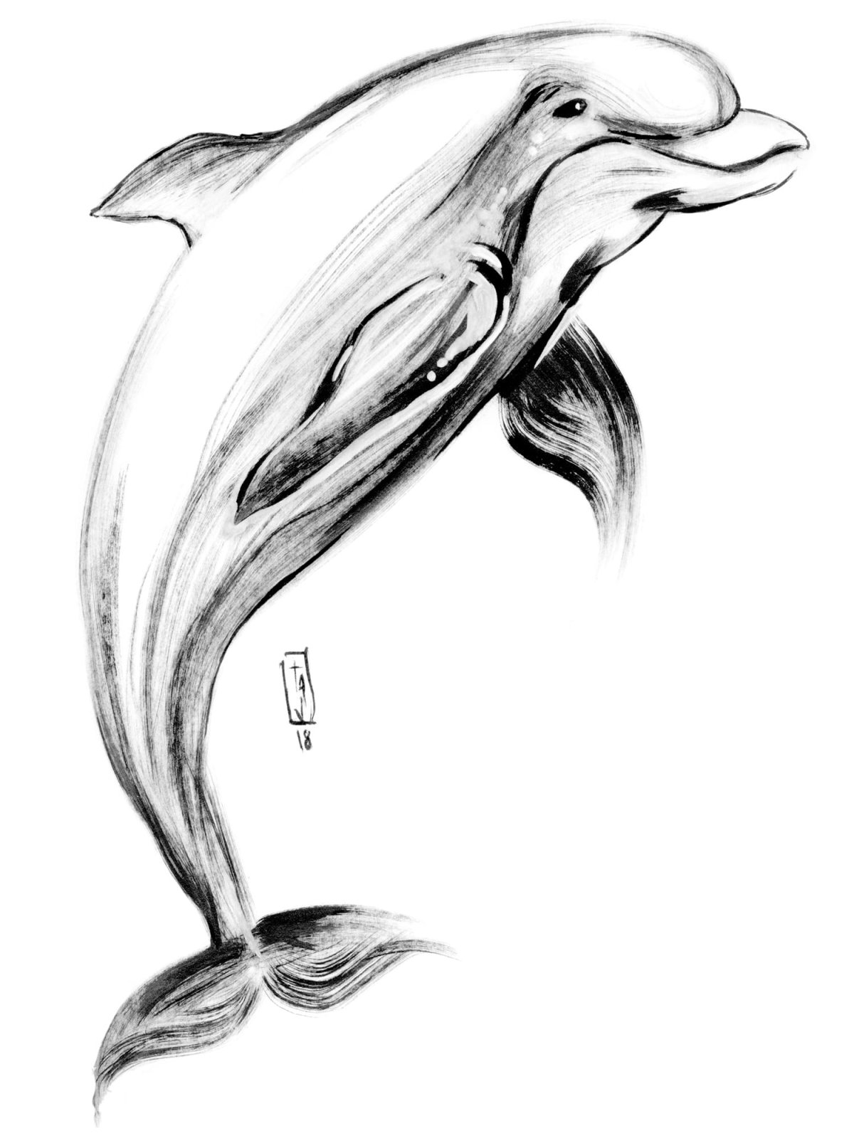 Дельфин нарисовать