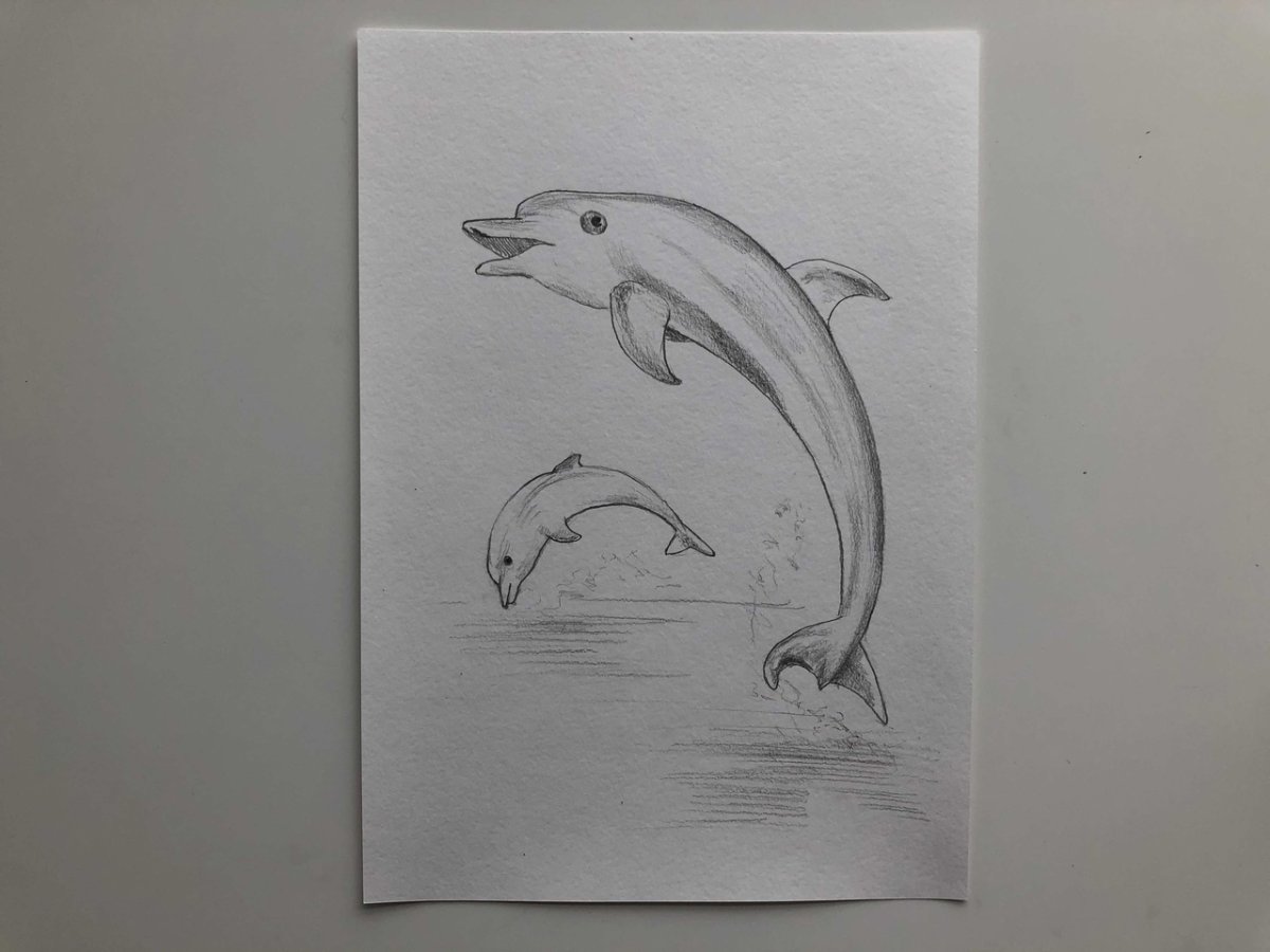 Рисунок дельфина карандашом легко