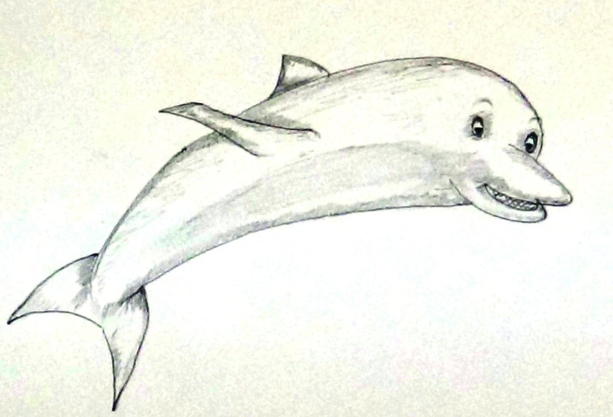 Рисунок дельфина карандашом