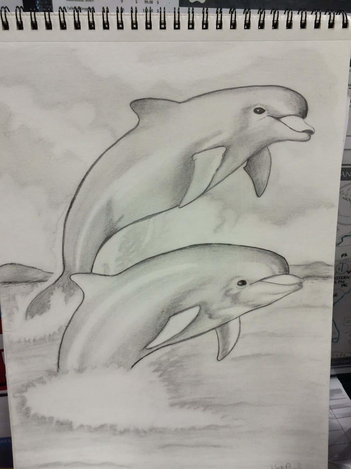 Дельфин рисунок карандашом