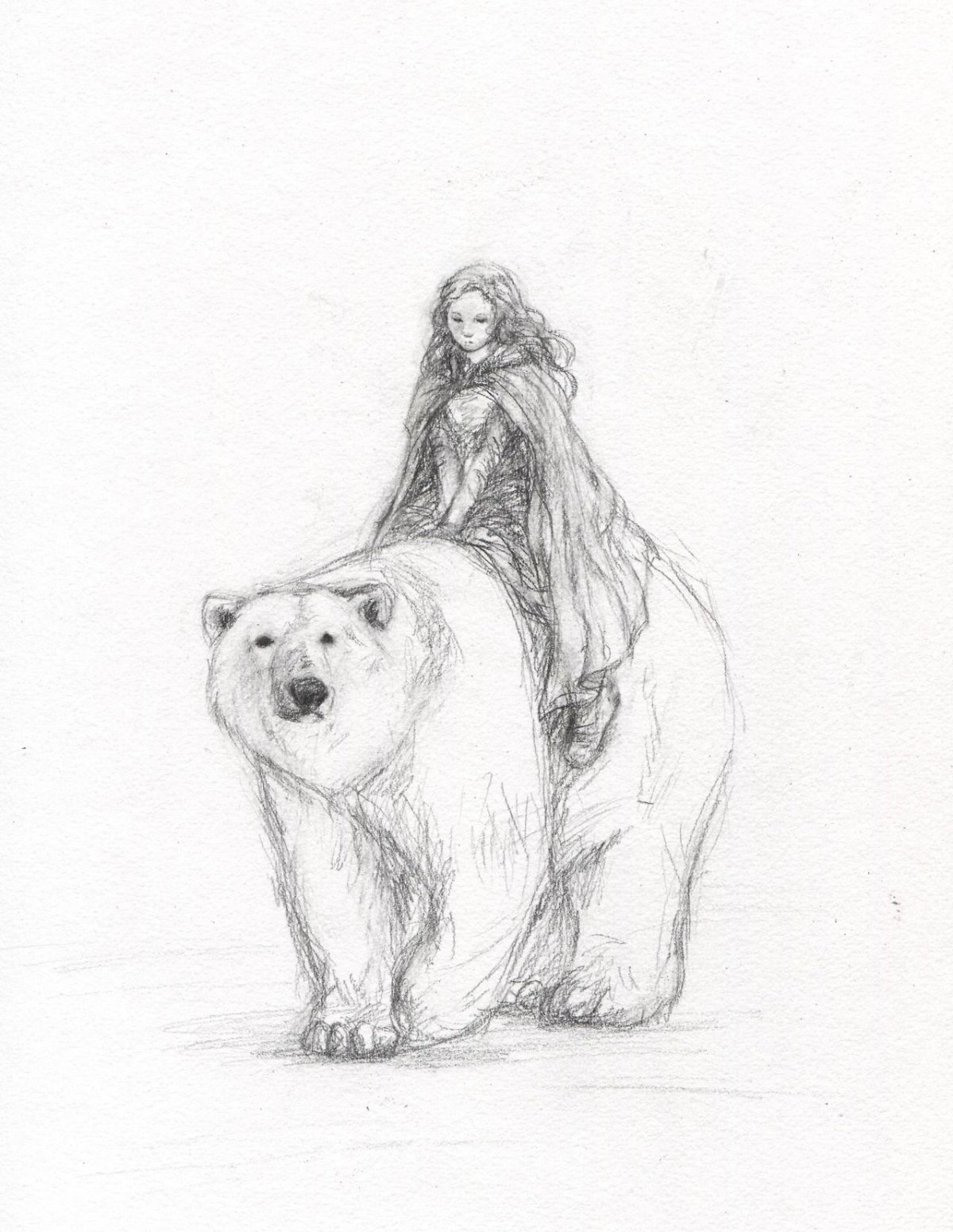 Эскиз медведя карандашом