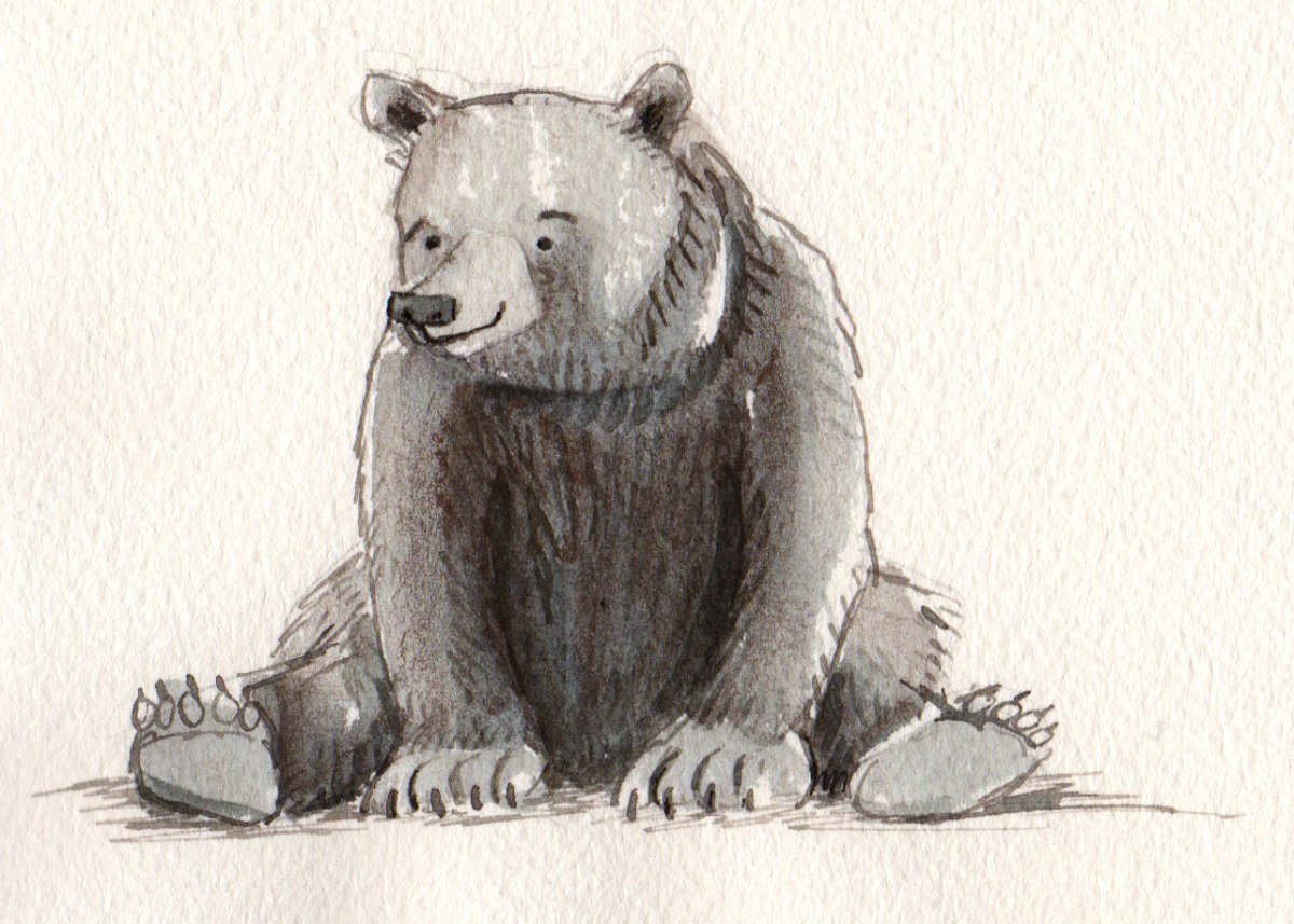 Медвежонок скетч