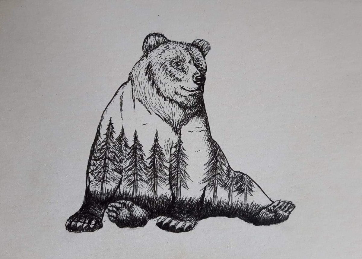 Медведь для срисовки