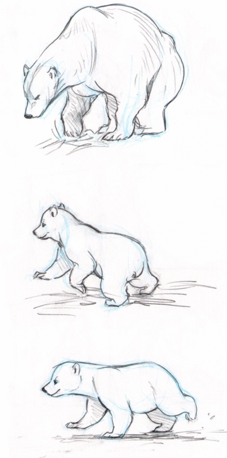 Нарисовать белого медведя сбоку