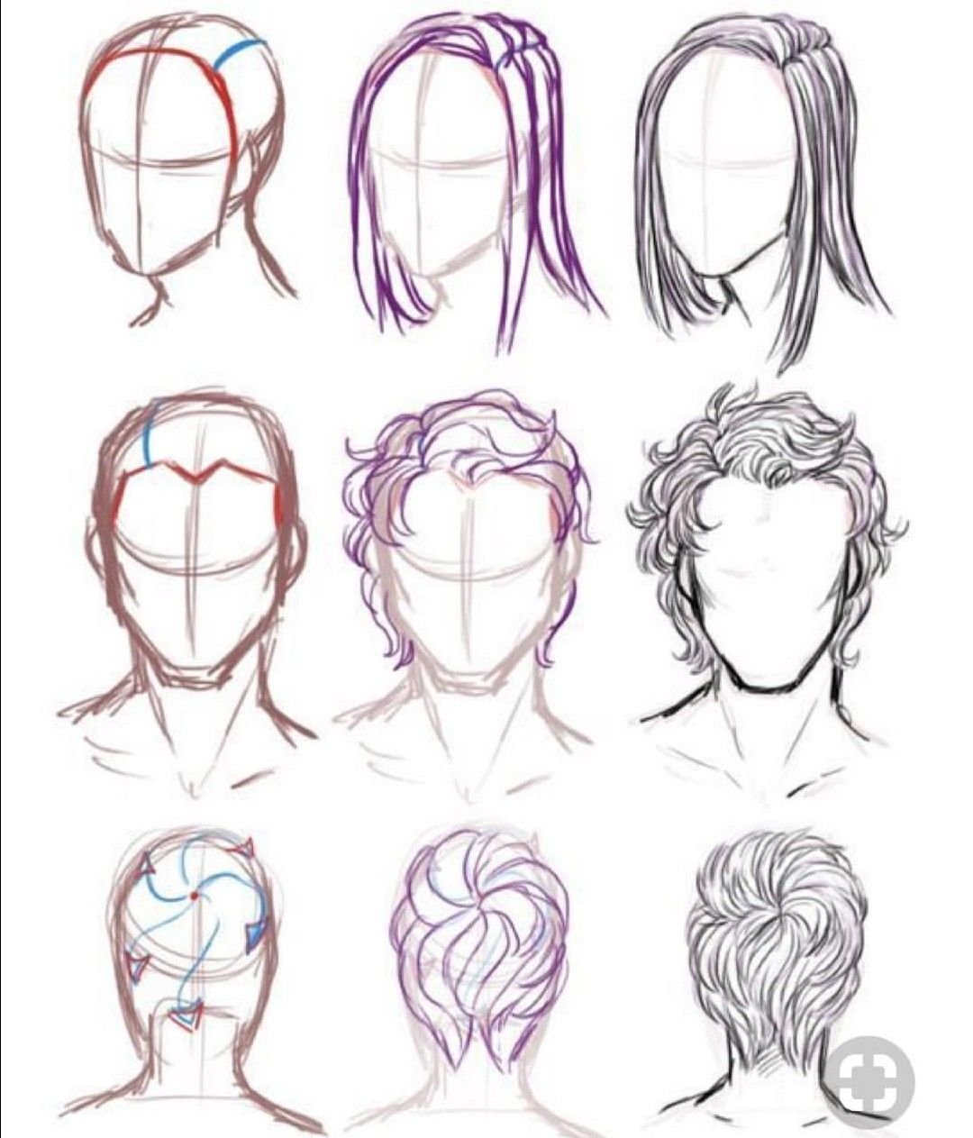 Анатомия волос для рисования