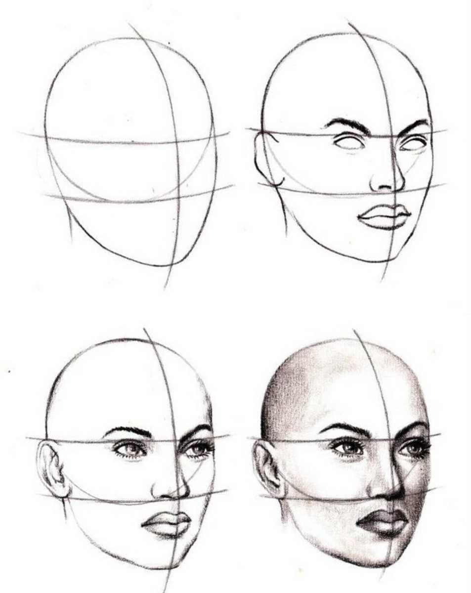 Схема лица человека для рисования