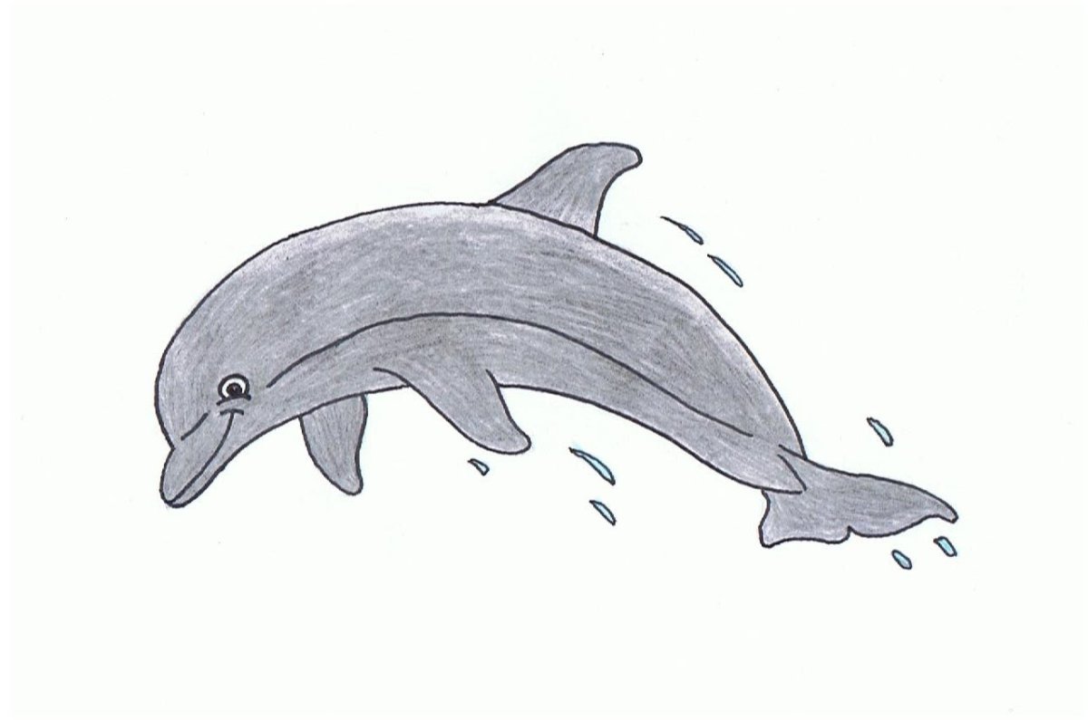 Рисунок дельфина