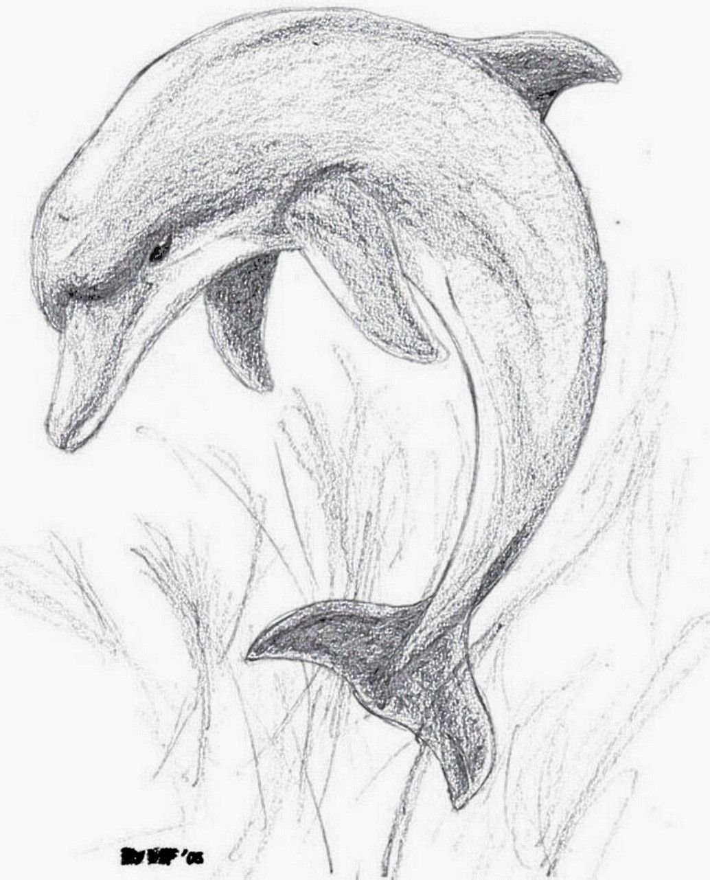 Картинки рисунков для начинающих. Рисунки карандашом. Красивые рисунки карандашом. Рисунок дельфина. Рисунок на свободную тему легкий.