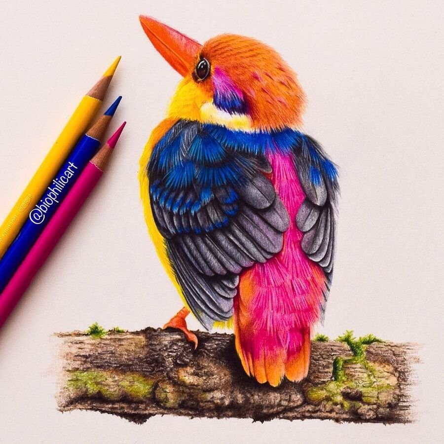 Миниатюра с цветными карандашом