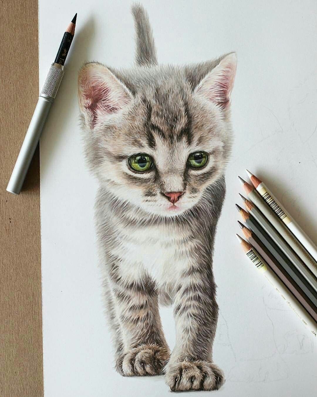 Сделать рисунок кота