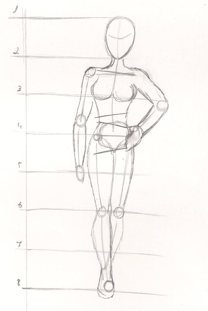 Схема тела человека для рисования