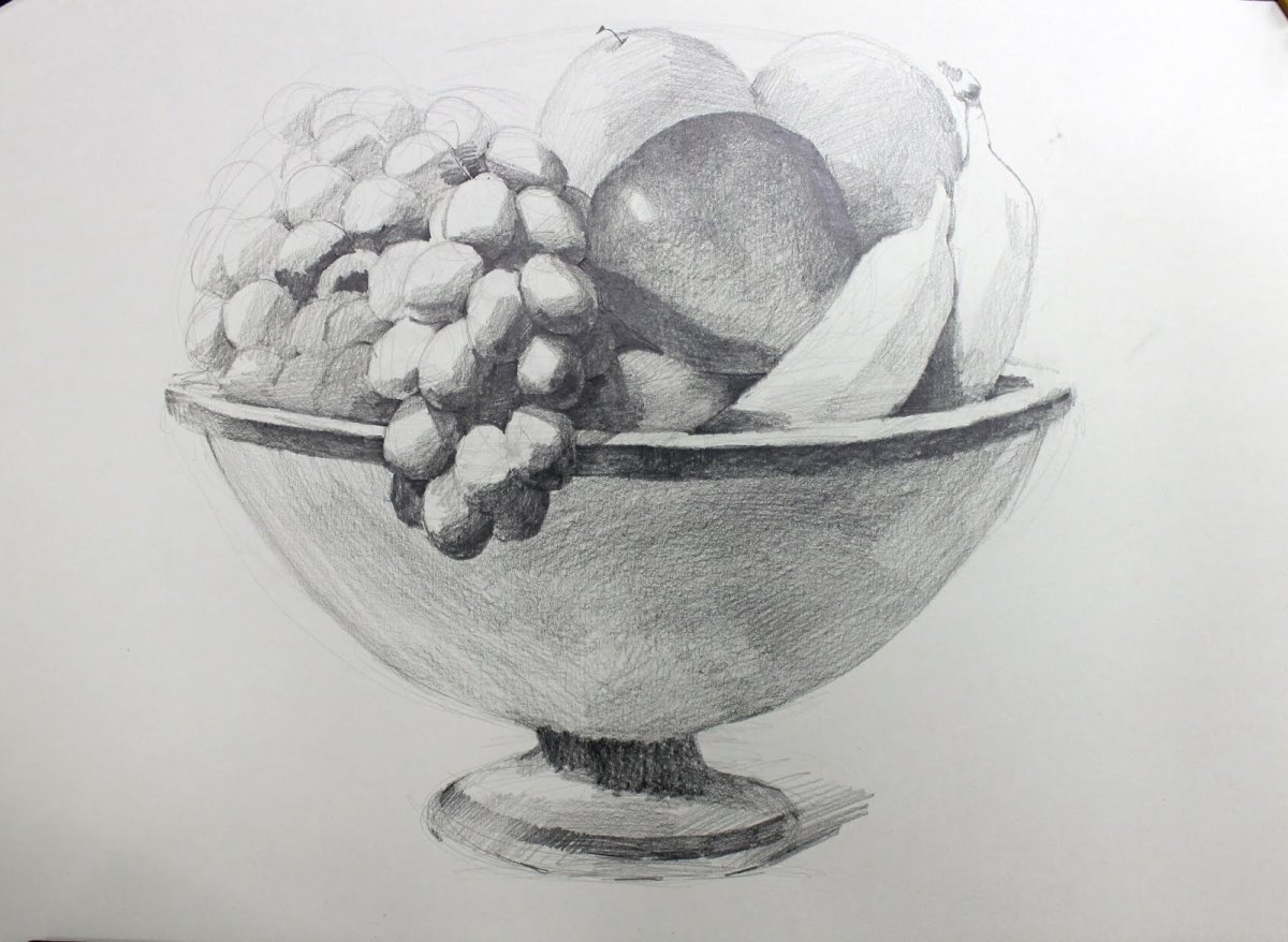 Drawing still Life Step by Step