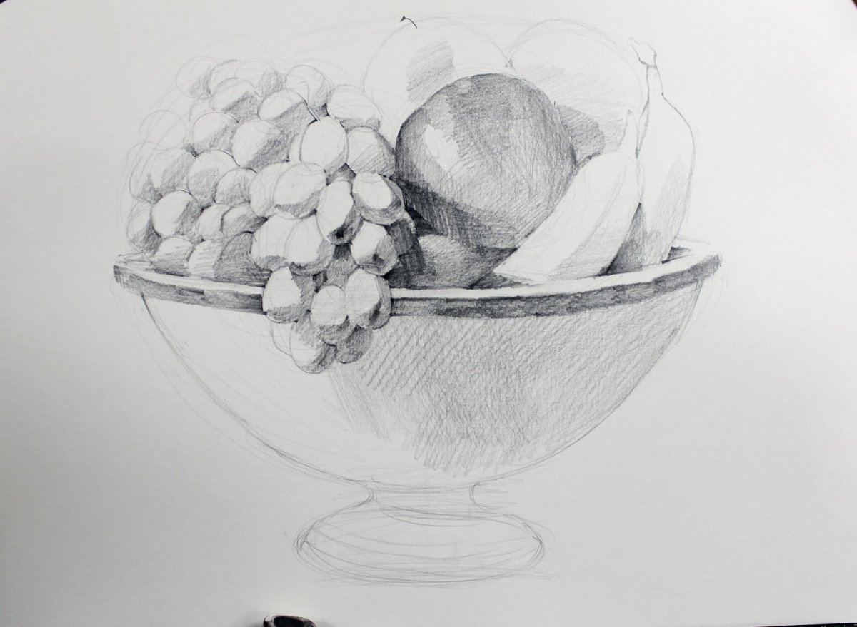 Рисунок карандашом натюрморт фрукты