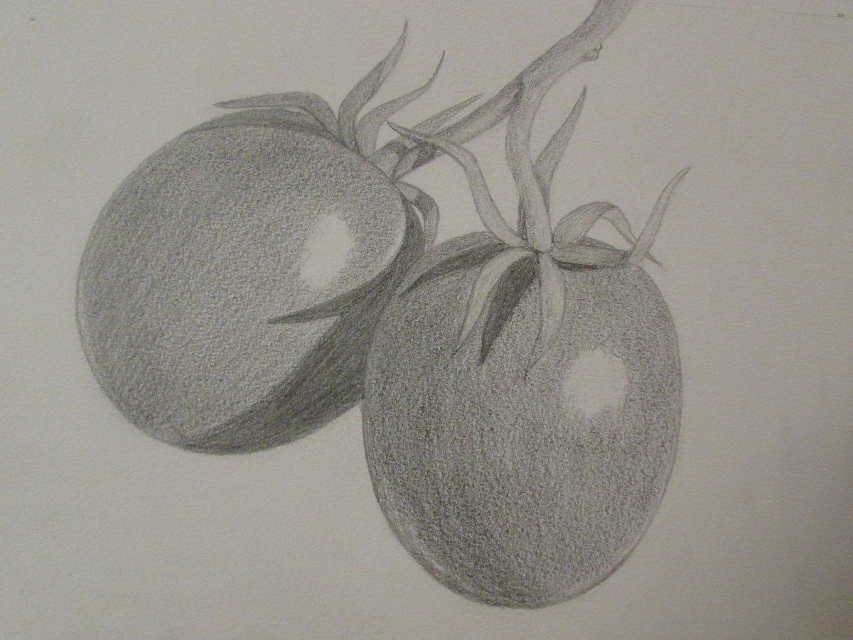 Рисование карандашом фрукты