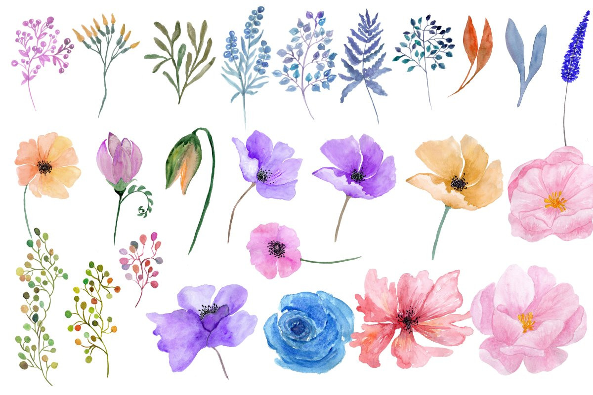 Акварельные рисунки цветов