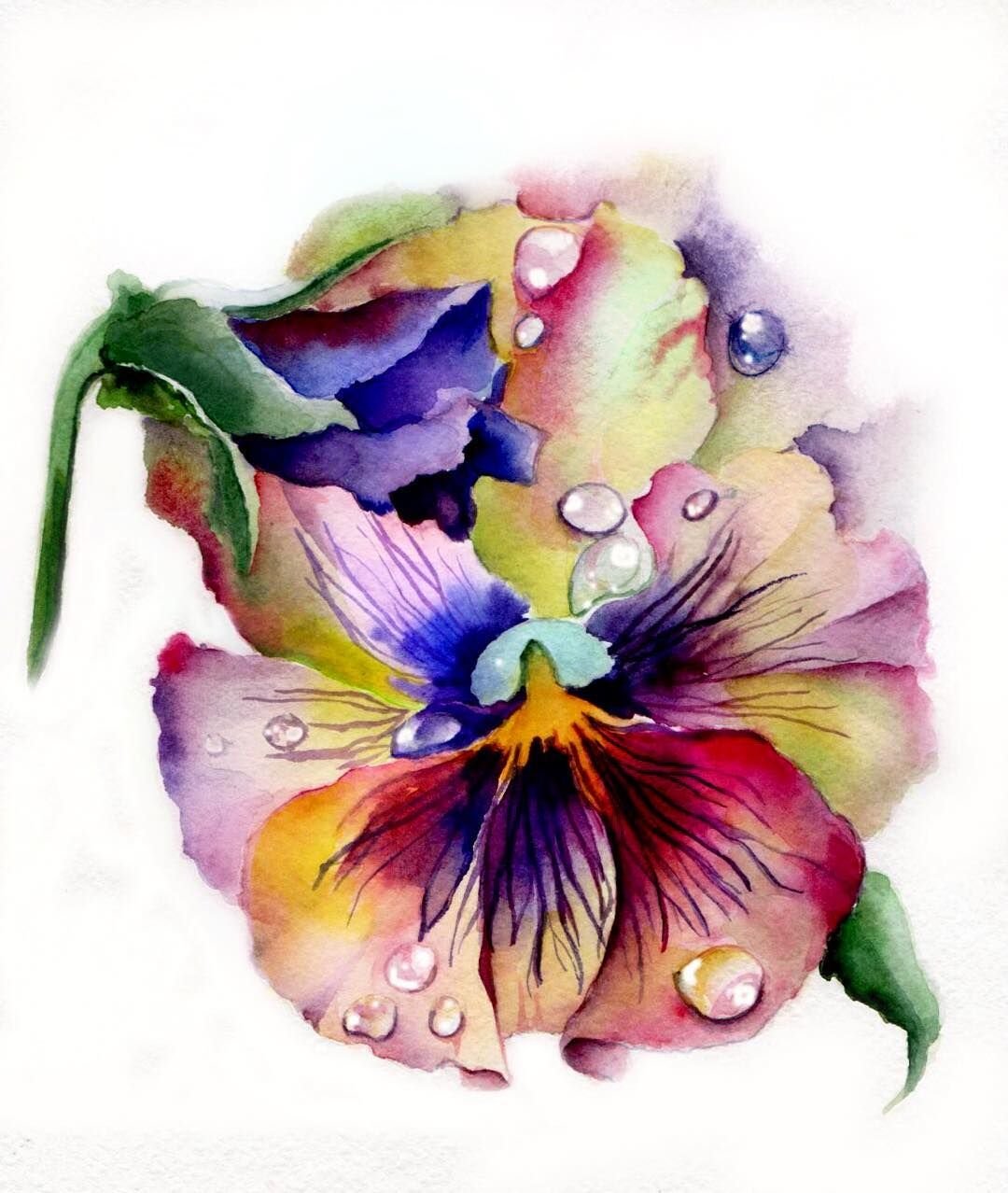 цветы картинки рисованные акварелью
