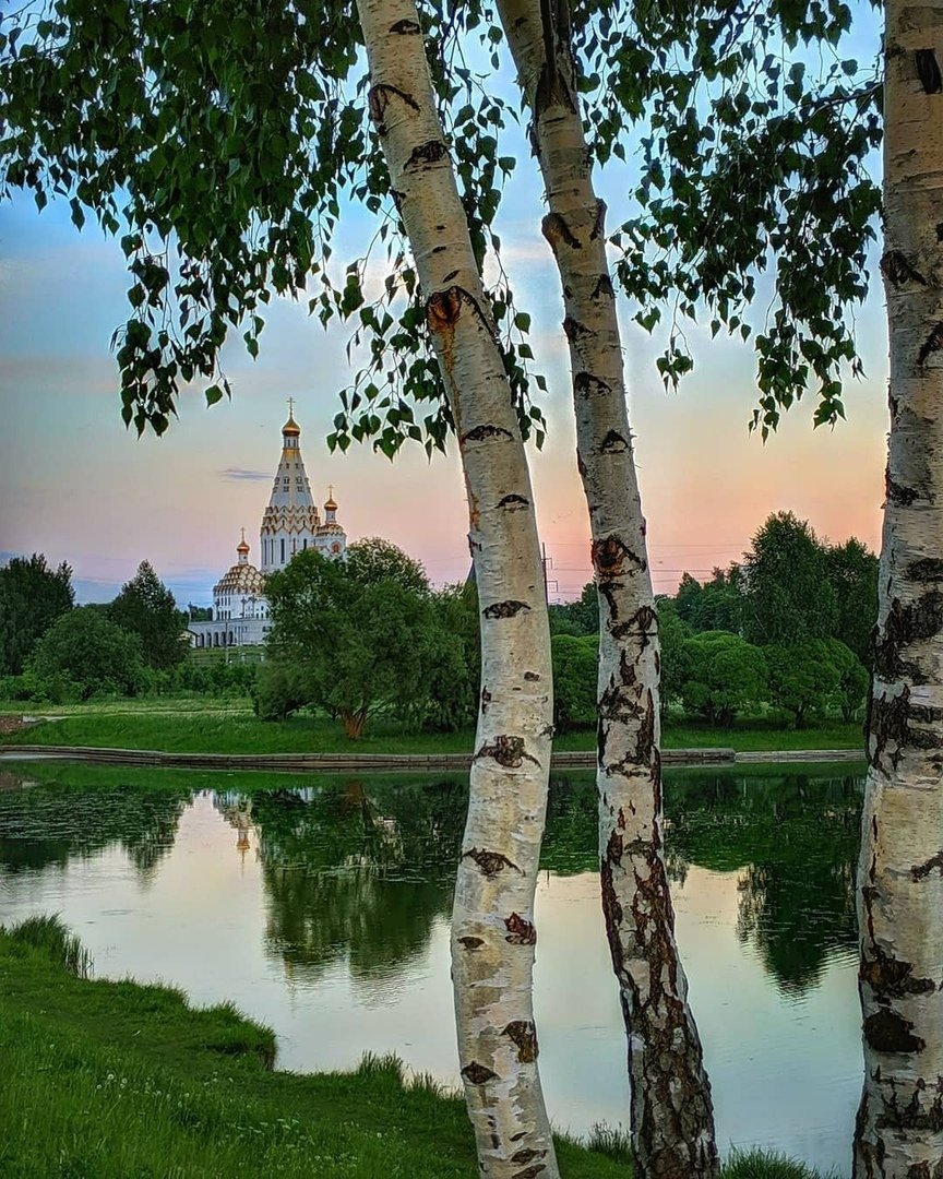 Березки у воды фото