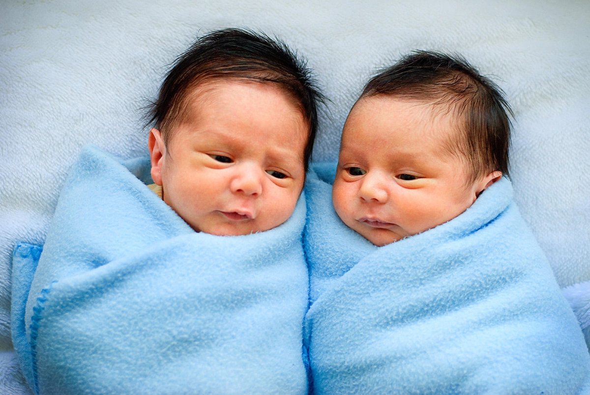 Рождаемость близнецов