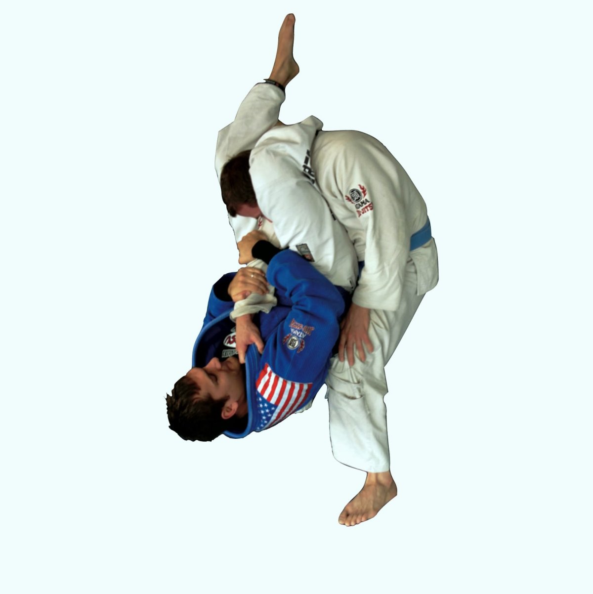 Картинки bjj на телефон