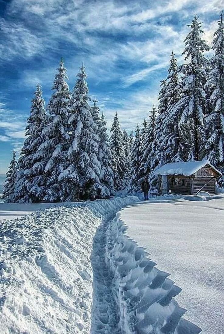 Включи зимних. Зима. Снежная зима. Зимний пейзаж. Красивая зима.