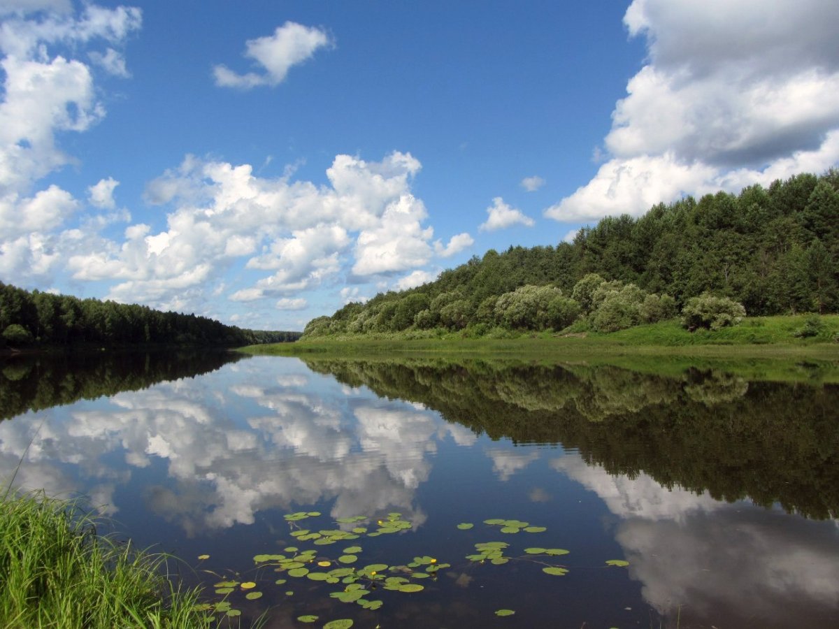 река пижма кировская область