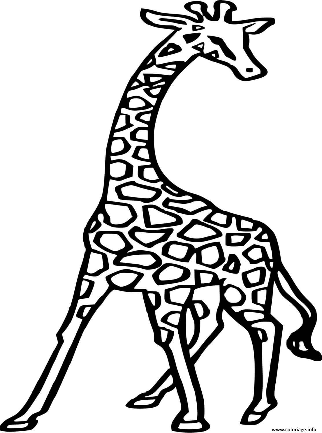 Жираф рисунок для срис