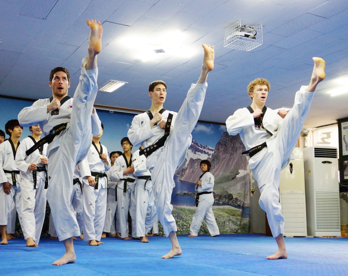 Taekwondo Fight