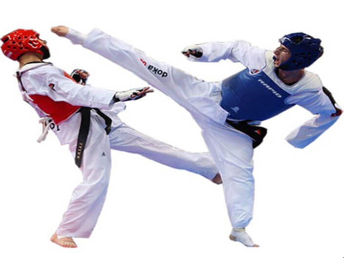 Taekwondo ITF вектор