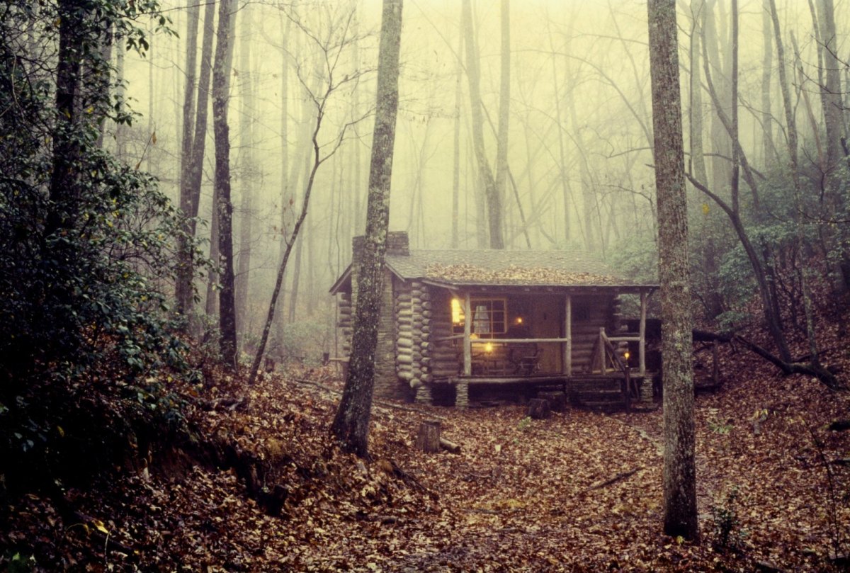Старый домик в лесу