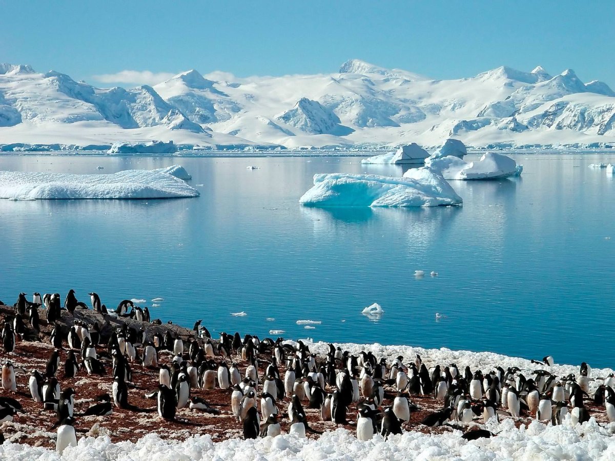 Antarctica — Антарктида