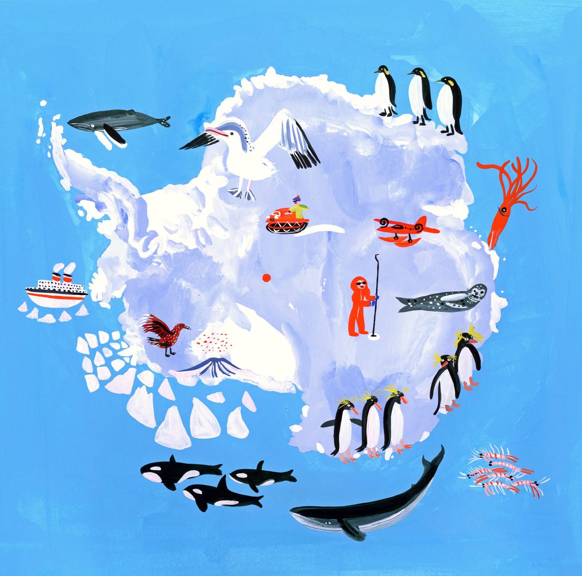 Плакат Антарктида для детей