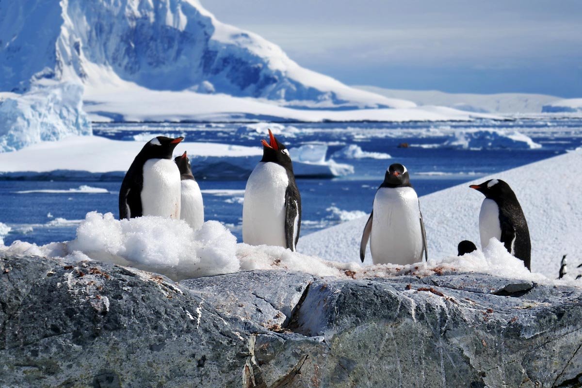 Antarctica — Антарктида