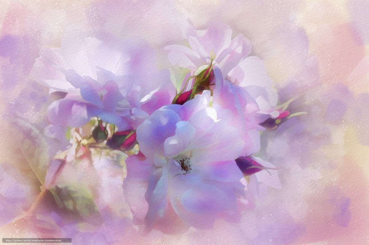 Пастельные цветы рисунок - 84 фото