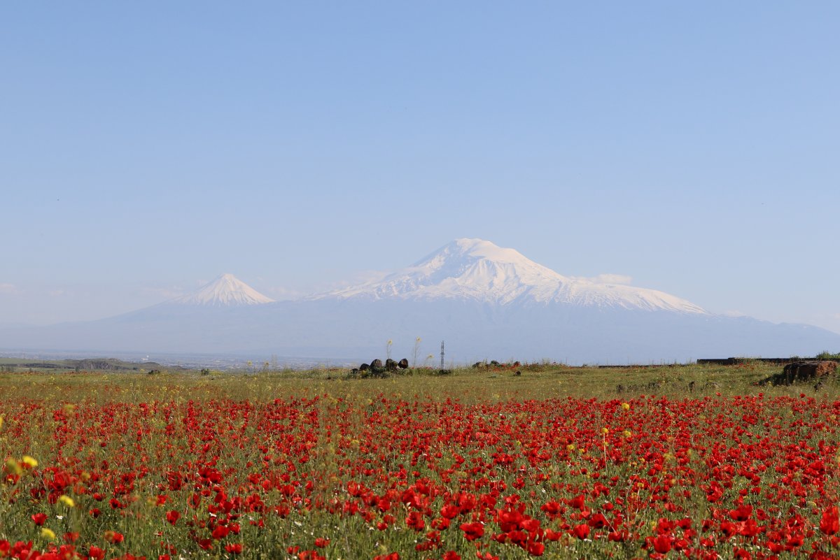 Гора Арарат летом