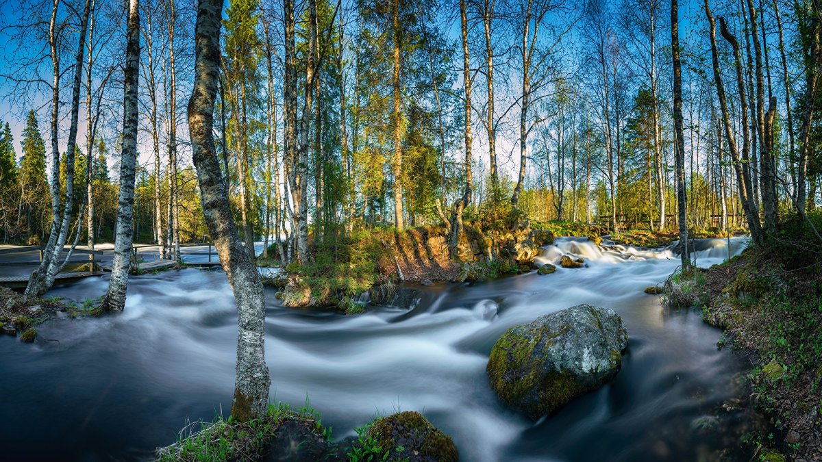 Весна речка фото