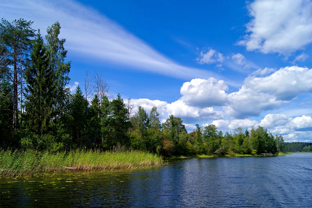 река вдали