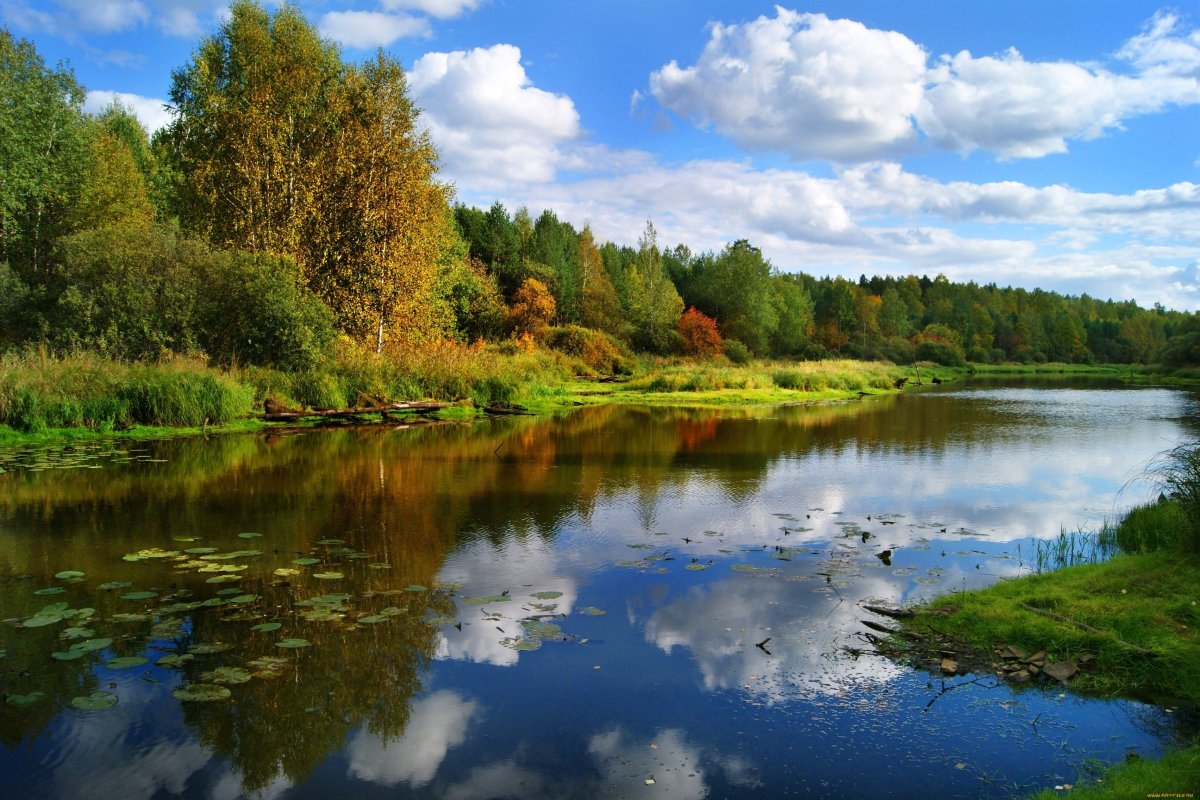 Река малая Пудица Тверская область