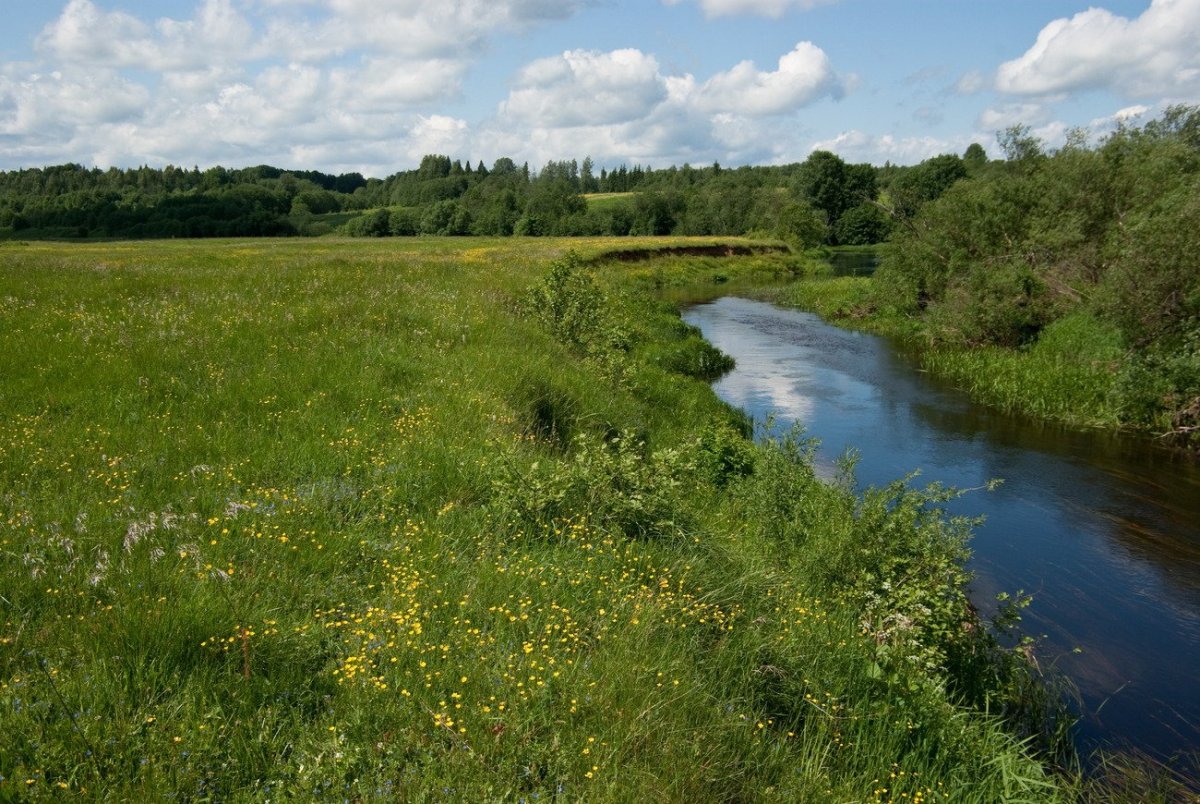 Река Волгуша